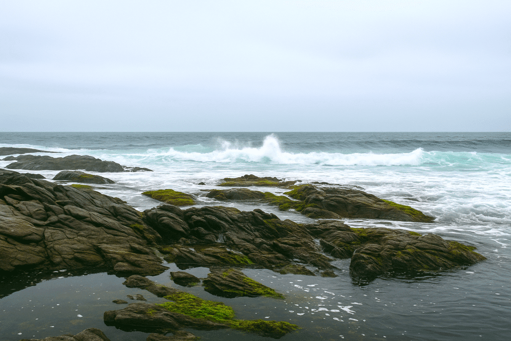 Sea beach in Mirbat Salalh Oman