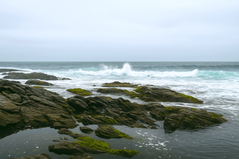 Sea beach in Mirbat Salalh Oman